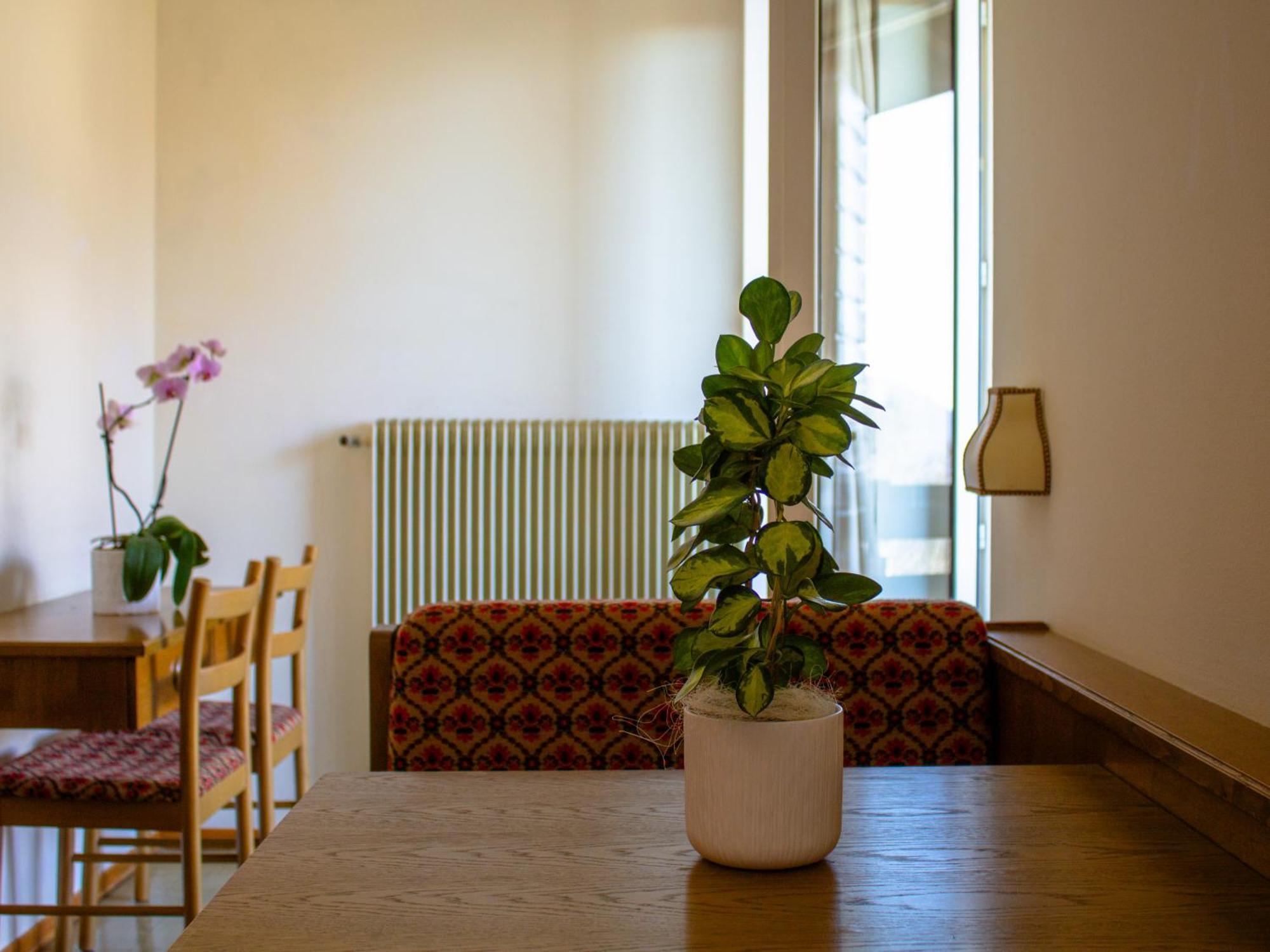 Locanda La Ruscoletta Telve 외부 사진